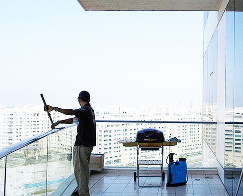window cleaning